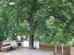 Pronájem vily, Karlovy Vary, K Přehradě, 250 m2