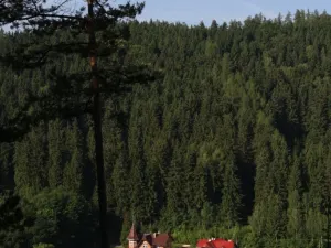 Pronájem vily, Karlovy Vary, K Přehradě, 250 m2