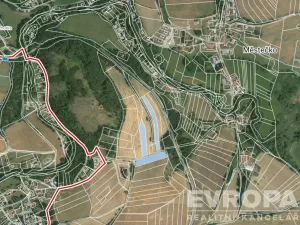 Prodej pole, Chotýšany, 13942 m2