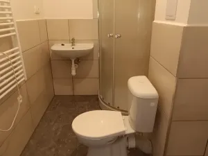 Pronájem bytu 1+kk, Ostrava, Palackého, 22 m2