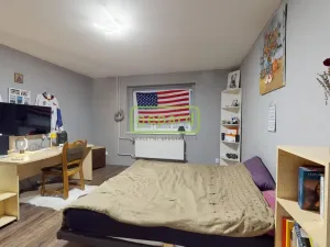 Prodej rodinného domu, Litvínov, Mlýnská, 250 m2