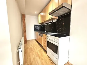 Pronájem bytu 4+kk, Praha - Nusle, U Jedličkova ústavu, 140 m2