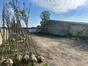 Pronájem komerčního pozemku, Brno, Terezy Novákové, 510 m2