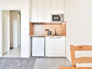 Pronájem bytu 1+kk, Brno, Halasovo náměstí, 23 m2