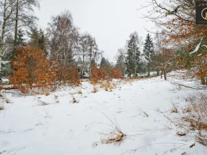 Prodej pozemku pro bydlení, Žandov - Radeč, 3412 m2