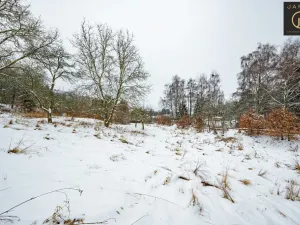 Prodej pozemku pro bydlení, Žandov - Radeč, 3412 m2