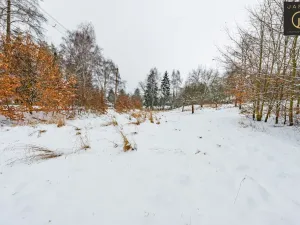 Prodej pozemku pro bydlení, Žandov - Radeč, 3412 m2