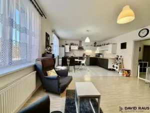 Pronájem bytu 3+kk, Brno, Florianova, 101 m2