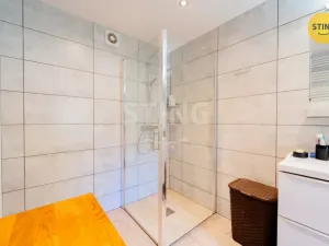 Prodej zemědělské usedlosti, Holasovice, 410 m2