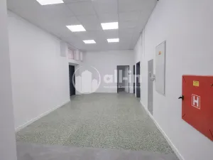 Pronájem obchodního prostoru, Vyškov - Brňany, Palánek, 252 m2