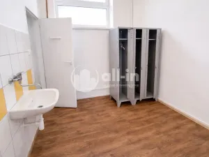 Pronájem obchodního prostoru, Vyškov - Brňany, Palánek, 252 m2