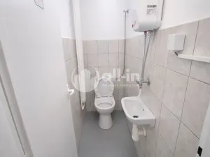 Pronájem obchodního prostoru, Vyškov - Brňany, Palánek, 252 m2
