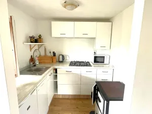 Prodej chaty, Petrov, U dubu, 41 m2