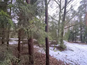 Prodej pozemku, Veliny, 180 m2