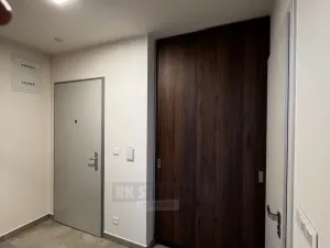 Pronájem bytu 1+kk, České Budějovice, Chelčického, 47 m2