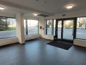 Pronájem bytu 2+kk, Liberec - Liberec III-Jeřáb, U Nisy, 63 m2