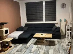 Prodej bytu 3+kk, Bílina - Teplické Předměstí, Čapkova, 55 m2