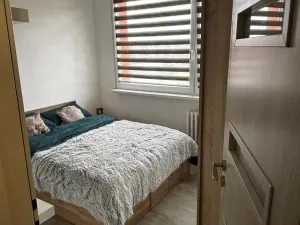 Prodej bytu 3+kk, Bílina - Teplické Předměstí, Čapkova, 55 m2