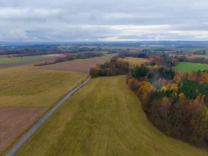 Prodej lesa, Lukavice, 90440 m2