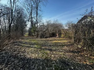 Prodej chaty, Vítonice, 45 m2