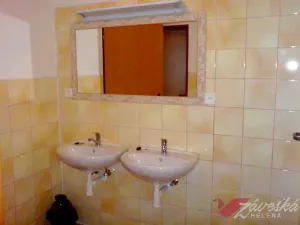 Pronájem bytu 1+kk, Bakov nad Jizerou - Chudoplesy, 15 m2