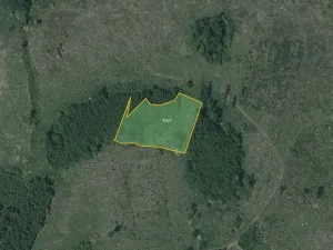 Prodej pole, Hořice, 19979 m2