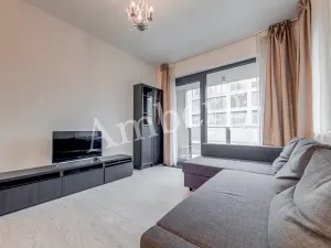 Pronájem bytu 1+kk, Praha - Karlín, U Mlýnského kanálu, 37 m2