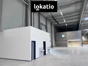 Pronájem skladu, Nymburk, 7200 m2