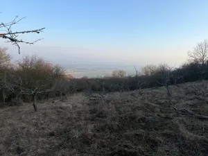 Prodej zahrady, Litoměřice - Předměstí, Veveří, 3183 m2