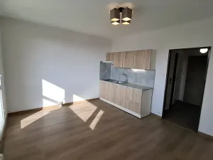 Pronájem bytu 1+kk, Plzeň, Sokolovská, 30 m2