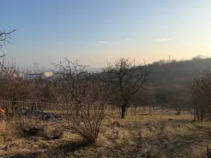 Prodej zahrady, Litoměřice - Pokratice, U Medulánky, 1409 m2