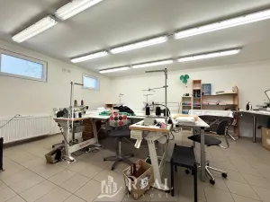 Prodej rodinného domu, Skršín, 524 m2