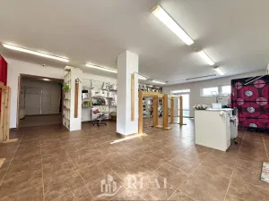 Prodej rodinného domu, Skršín, 524 m2