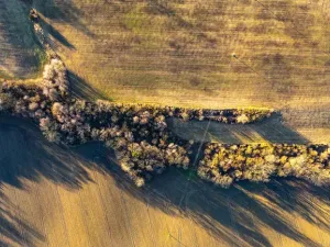 Prodej komerčního pozemku, Polom, 40000 m2