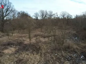 Prodej komerčního pozemku, Polom, 40000 m2