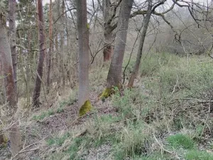 Dražba pozemku, Sušice, 4383 m2