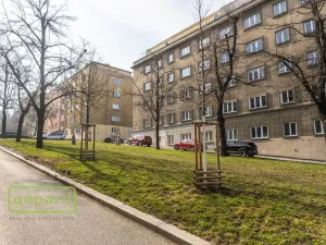 Pronájem bytu 1+1, Praha, Pod Drinopolem, 53 m2