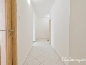 Pronájem bytu 2+1, Brno - Veveří, Bayerova, 59 m2