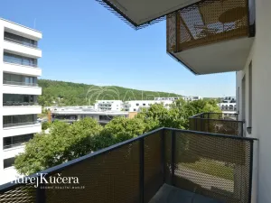 Pronájem bytu 1+kk, Praha - Jinonice, Barvitiova, 38 m2