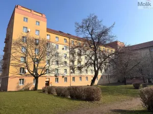 Pronájem bytu 2+1, Most, tř. Budovatelů, 58 m2