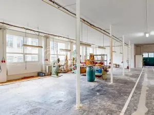 Prodej výrobních prostor, Luby, 1300 m2