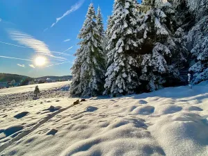 Prodej rodinného domu, Kvilda, 408 m2