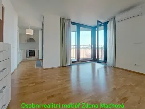 Pronájem bytu 1+kk, Praha - Žižkov, 38 m2