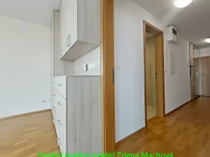 Pronájem bytu 1+kk, Praha - Žižkov, 38 m2
