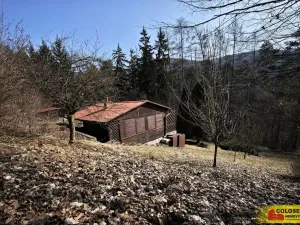 Prodej chaty, Borač, 50 m2
