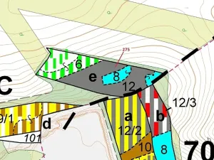 Dražba lesa, Jeviněves, 10319 m2