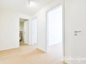 Pronájem bytu 2+kk, Brno - Staré Brno, Ghegova, 51 m2