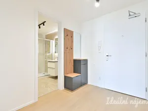 Pronájem bytu 2+kk, Brno - Staré Brno, Ghegova, 51 m2