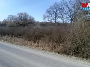 Prodej komerčního pozemku, Jinín, 3389 m2