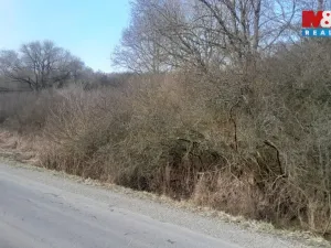 Prodej komerčního pozemku, Jinín, 3389 m2